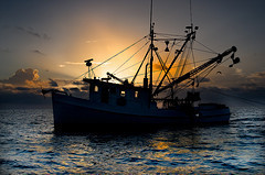 Shrimpboat