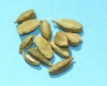 Cardamom pods