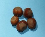 Hazelnuts