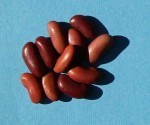 Kidney beans