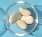 Lima beans