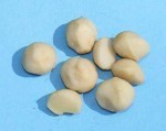 Macadamia nuts