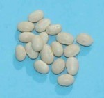 Navy Beans