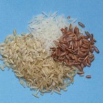 Rice