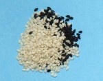 sesame seed