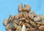Sunflower Seeds