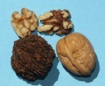 Walnuts