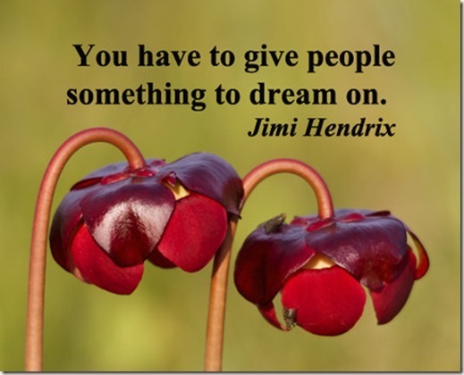 Click to visit the original post