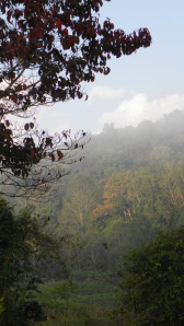 SAMSUNG DIGITAL CAMERA