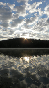 SAMSUNG DIGITAL CAMERA