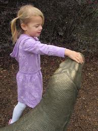 via http://thebatschzoocrew.blogspot.com/