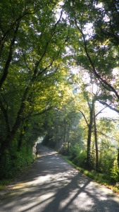 SAMSUNG DIGITAL CAMERA