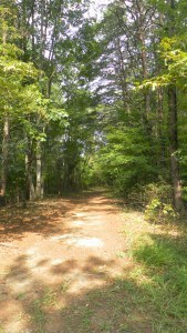 SAMSUNG DIGITAL CAMERA