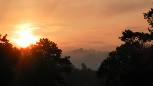 SAMSUNG DIGITAL CAMERA