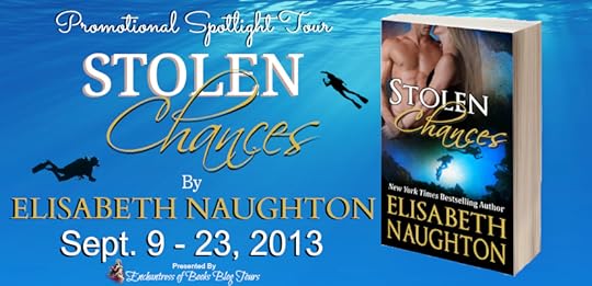 Stolen Chances Blog Tour Banner