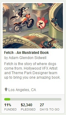 Funding11 FETCH on Kickstarter How Kickstarter works.