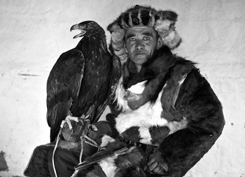 Hello Again Falconry