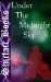 Under The Midnight Sky by Alex Sinclair