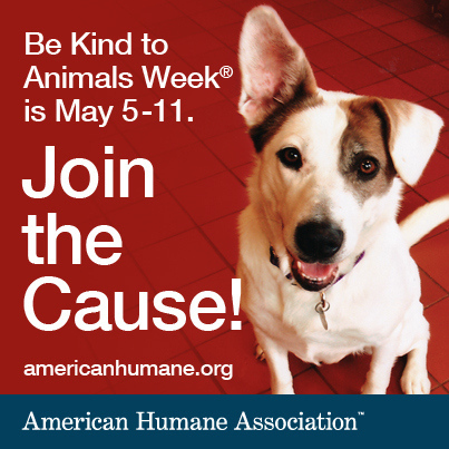 be-kind-to-animals-dog