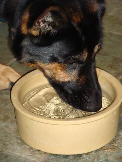 magic drinking