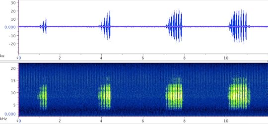 S_pistillata_song