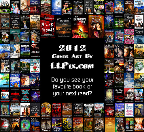 2012 Book Cover Designs by LLPix.com