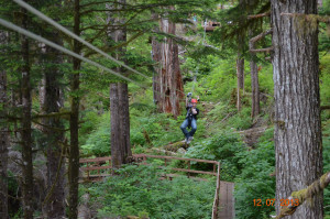 ziplining