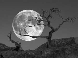 Moon