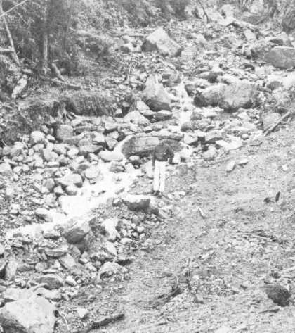 Moccasin Creek Debis - Many of the park's creeks, trails, meadows and roads looked like this.