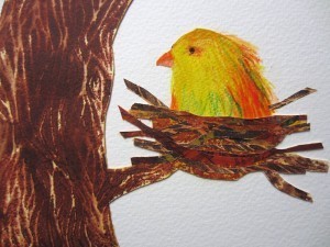 bird