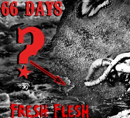 The 66 Days of Fresh Flesh have begun!