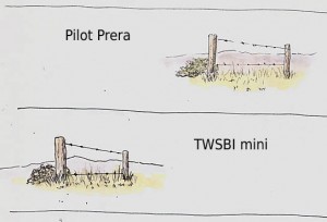 2013-04-12-Prera(top)_TWSBI(bottom)