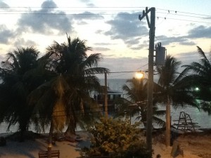 Early morning view from window