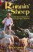 Runnin' Sheep (A Collection of Short Stories from Long Island, Bahamas) by Cindy Armbrister