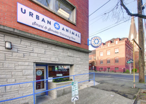 seattle-remodel-urban-animal-01