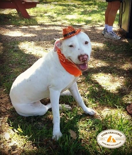 Texas humane heroes mascot