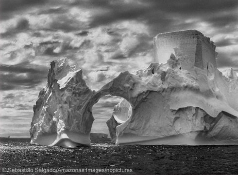 Iceberg in the Antarctic Peninsula