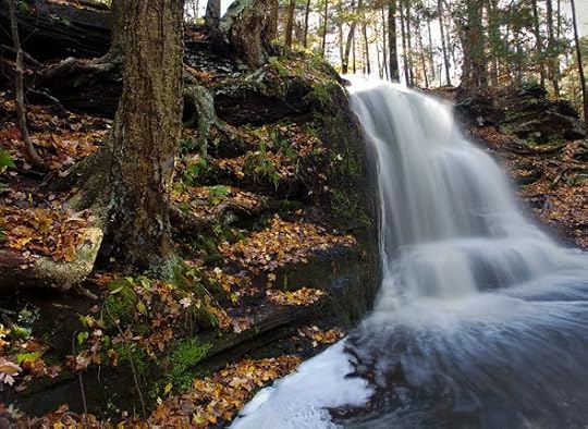 gunn_brook_greenfield.jpg picture by cynthialord2005