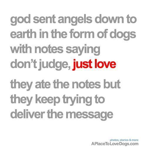 dog love