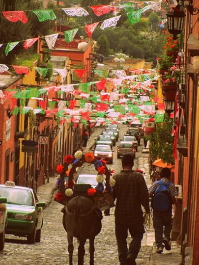 Donkeys in San Miguel de Allende