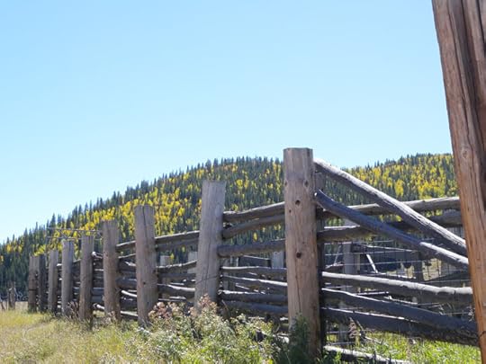 Aspens and old cow pens, photo by Terry Odell