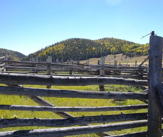 Old cow pens and aspen trees, photo by Terry Odell