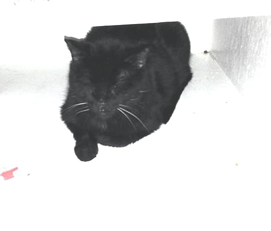 Jesse Sublett, noir novelist, blues singer