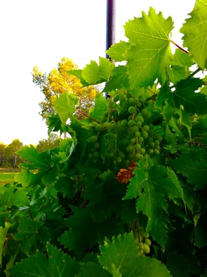 Jesse Sublett, artist, crime writer