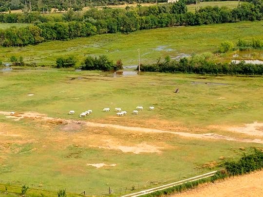 Jesse sublett, blues singer, surrealist, crime writer