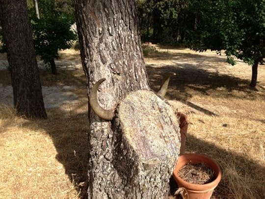 Jesse Sublett, surrealist, blues singer, noir fiction author