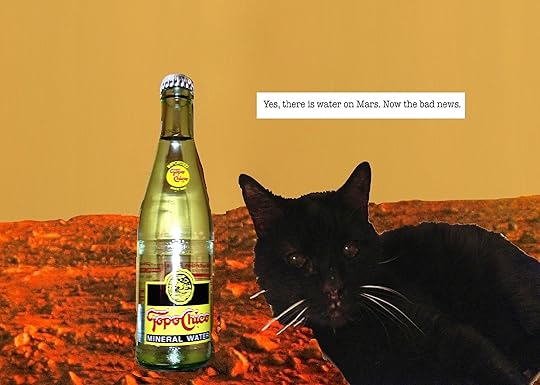 Jesse Sublett, blues singer, surrealist, crime fiction, Austin, Texas