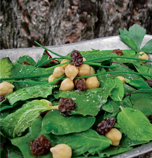 salad photo saladwall_zps9f938ec9.png