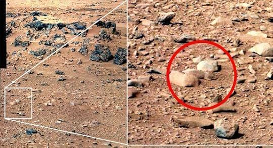 Mars rat