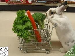 rabbit veges